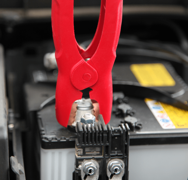 Service Image